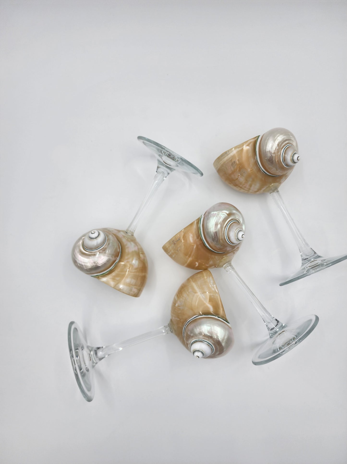 Siren Shell Glasses