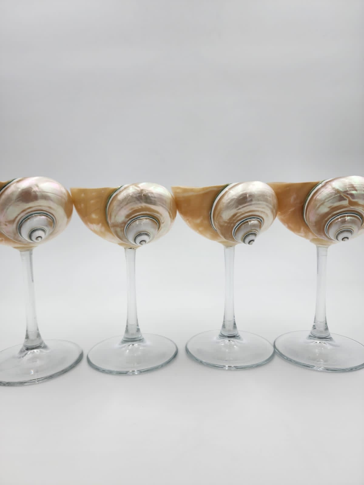 Siren Shell Glasses