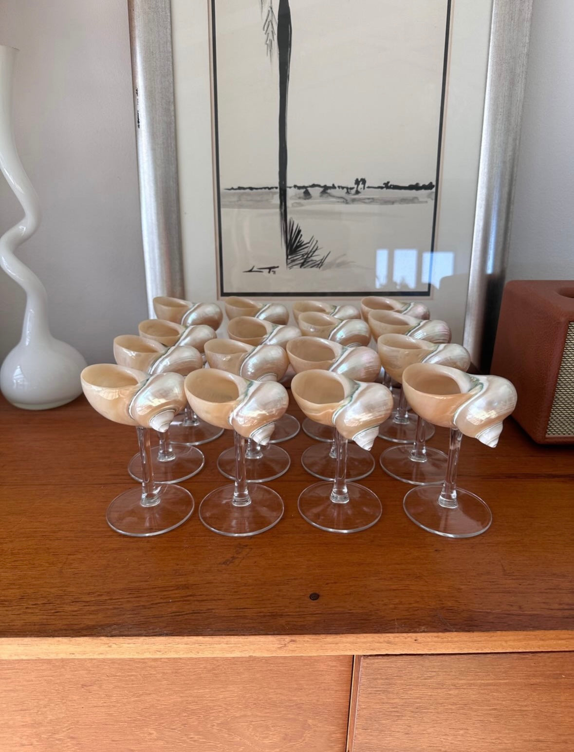 Siren Shell Glasses