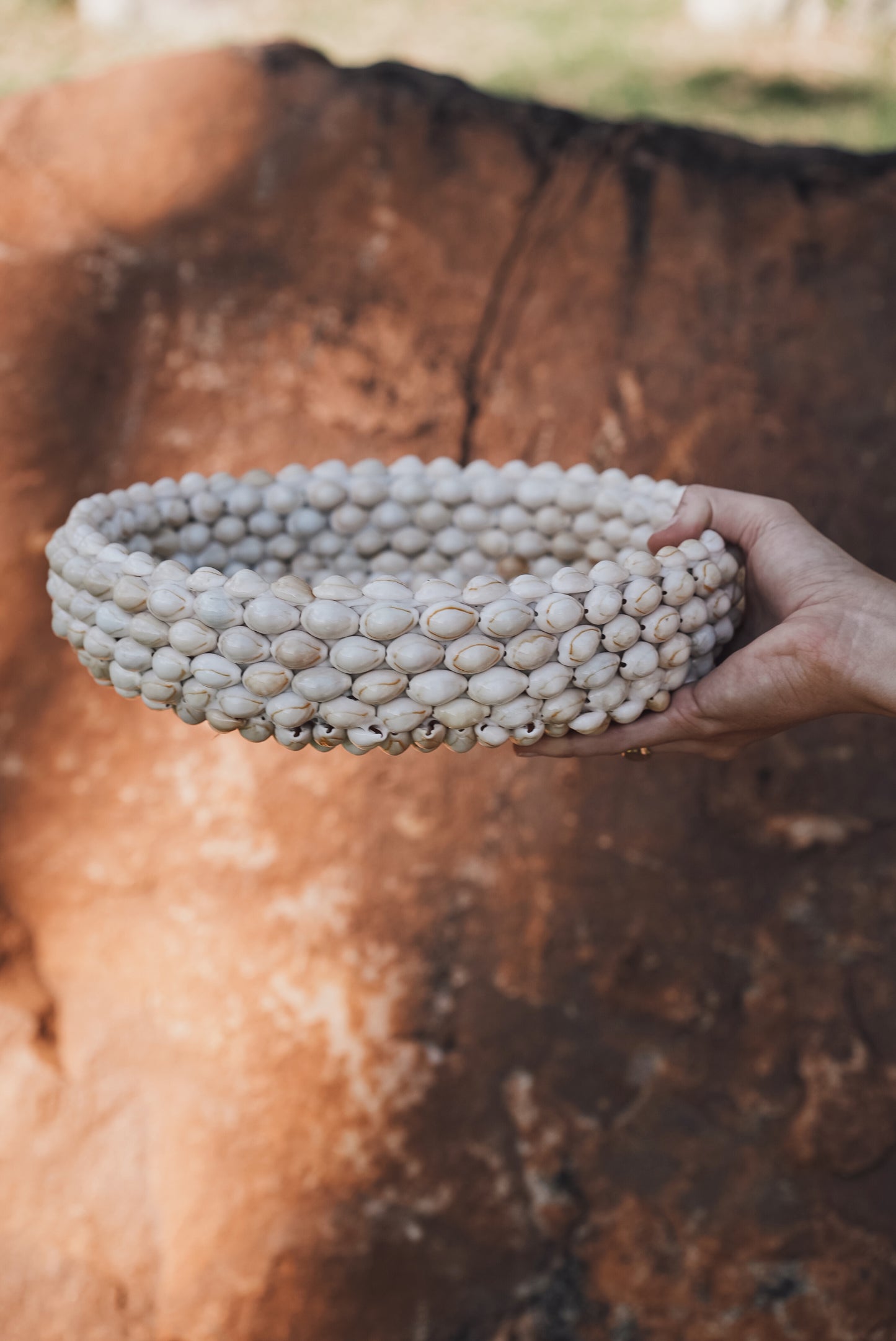 Cowry Shell Decorative Bowl