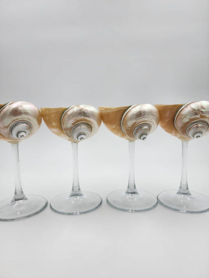 Siren Shell Glasses