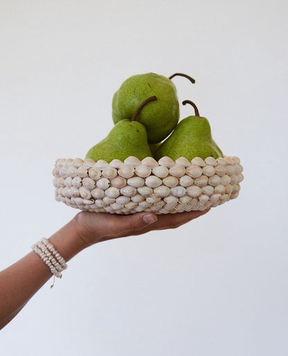 Cowry Shell Decorative Bowl